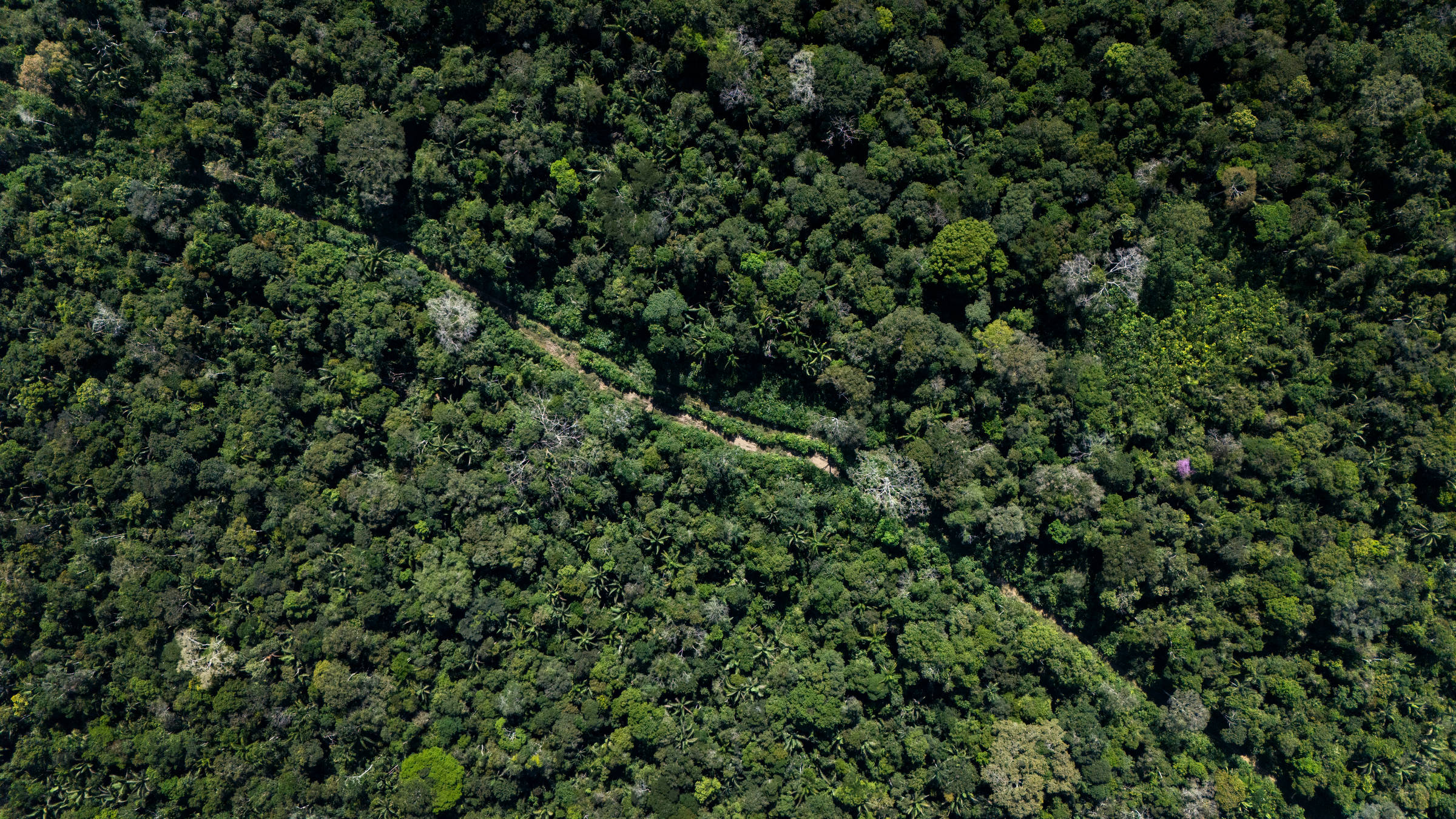 Verba Internacional para Meio Ambiente Ultrapassa Recursos do Congresso em 18 de Outubro de 2025
