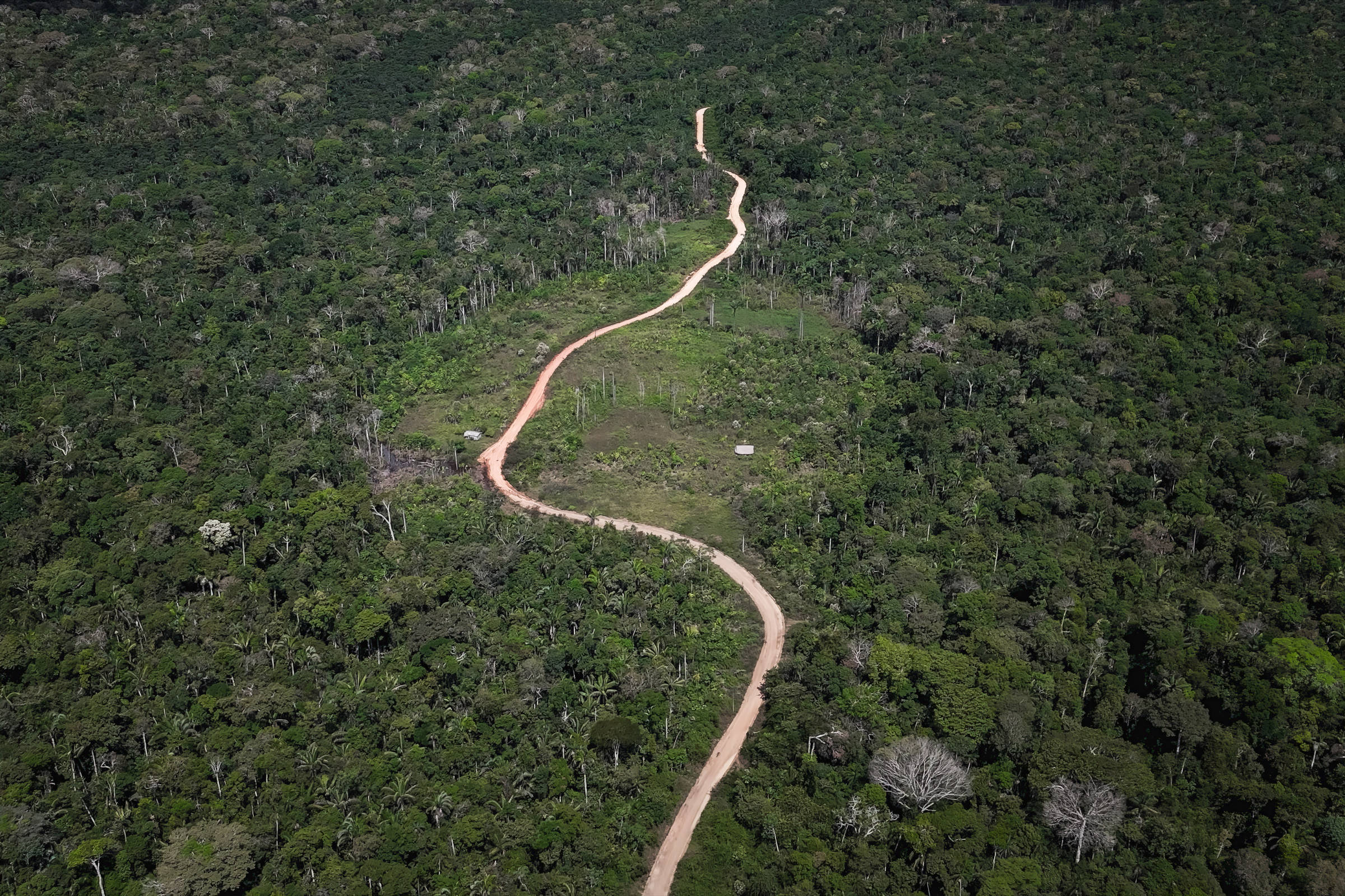 ONGs Solicitan ao STF que Analise Emendas Relacionadas ao Combate ao Desmatamento – 24/10/2025