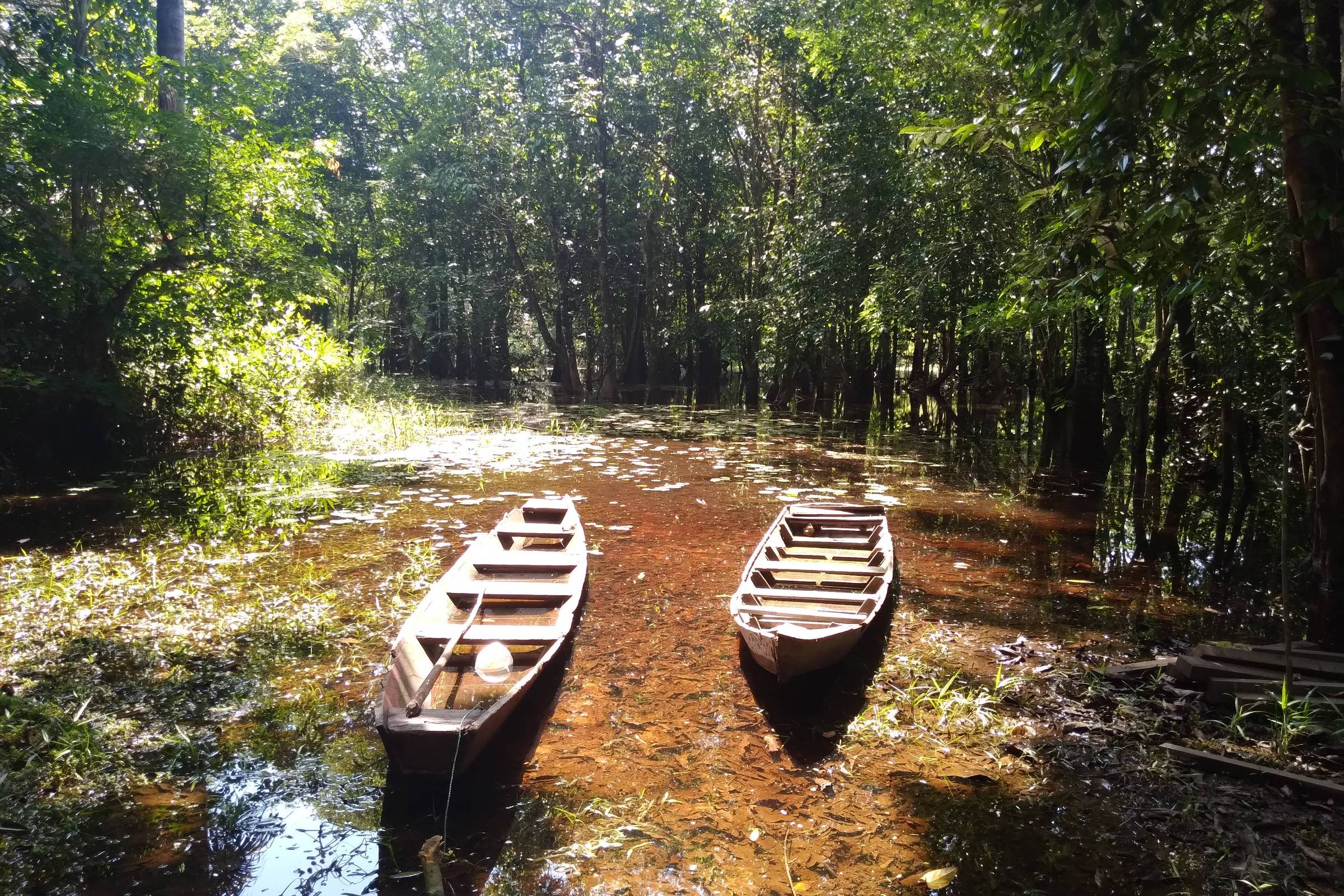 Inauguração da Trilha Amazônia Atlântica na COP 30 em 14 de outubro de 2025
