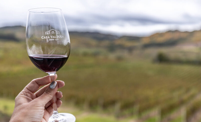 Atletas de tricô competem nos vinhedos do Rio Grande do Sul – 10/09/2025 – É Logo Ali