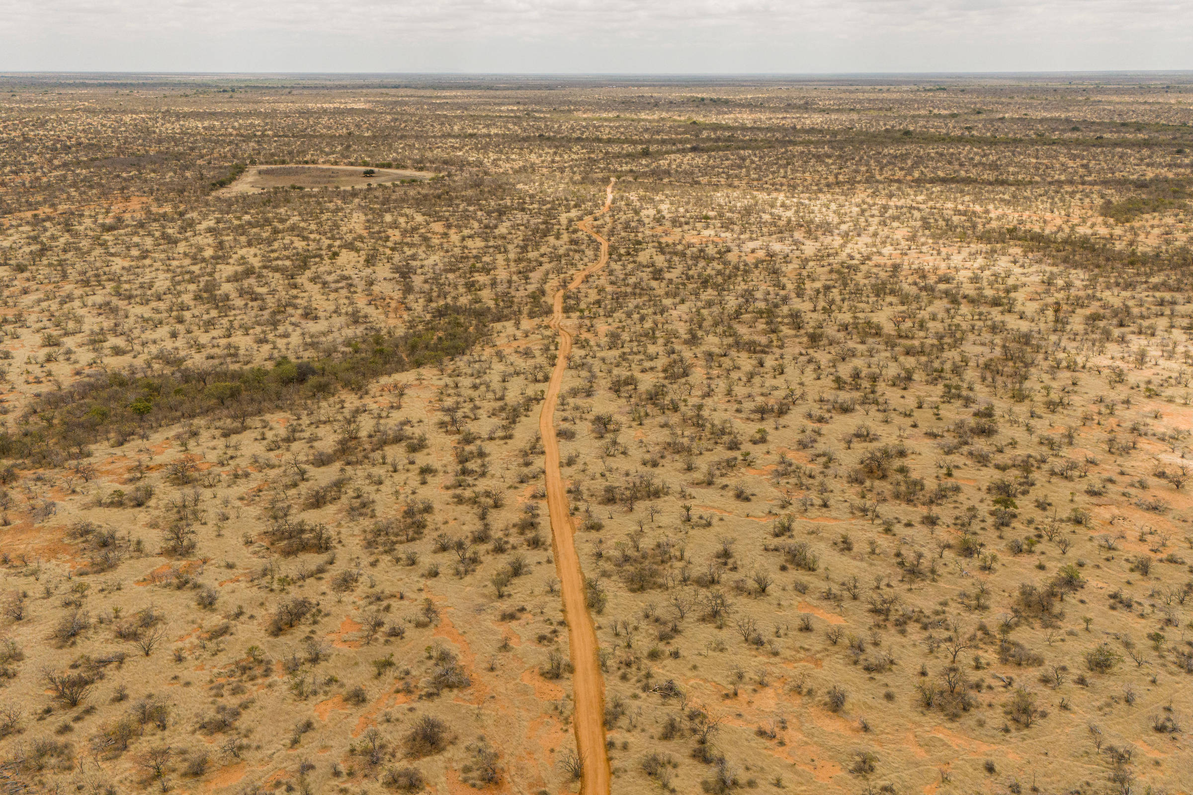 Comissão da Câmara dos Deputados Aprova Criação do Fundo da Caatinga em 8 de Setembro de 2025