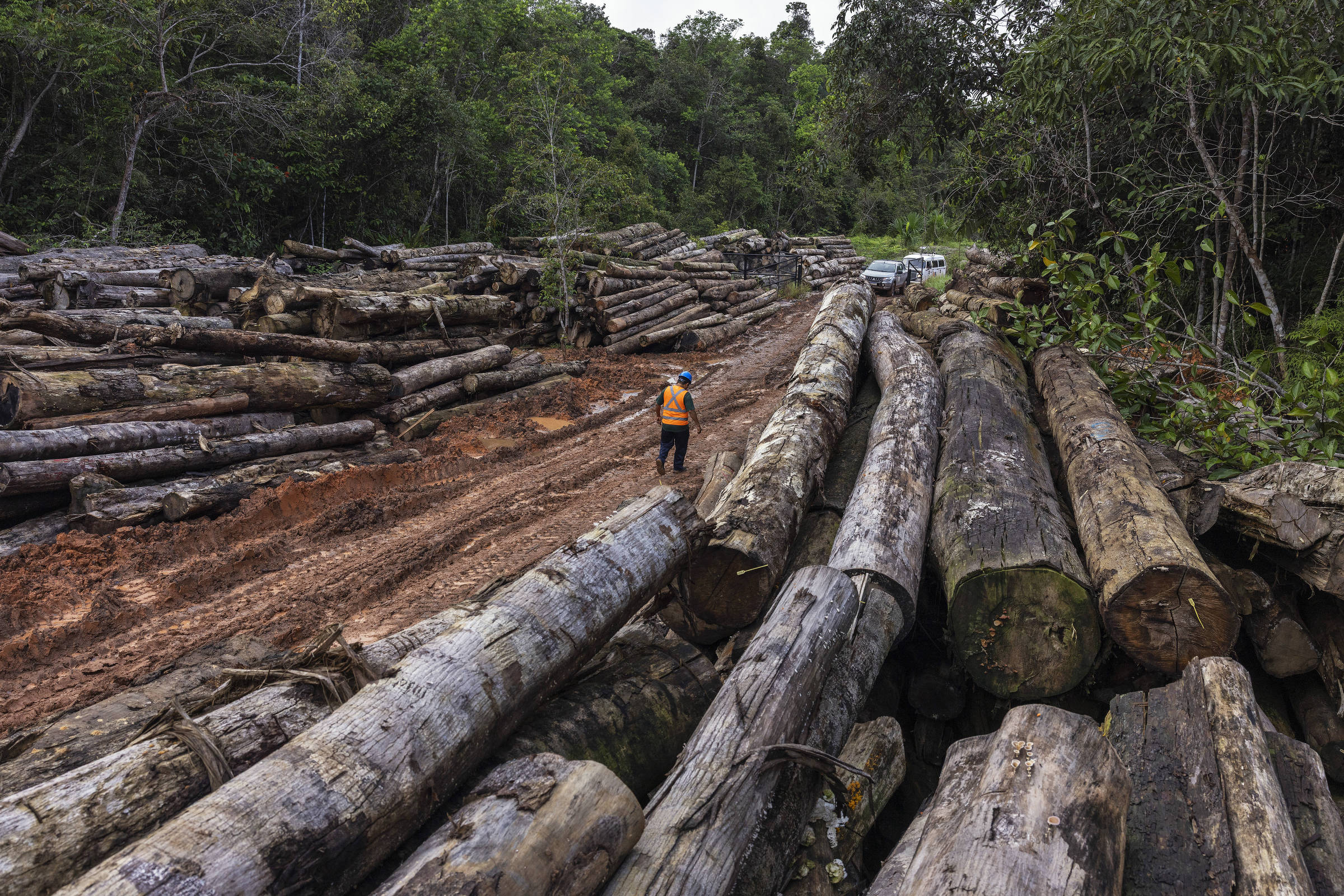 Abraji Anuncia Abertura de Vagas para Mentores de Jornalismo Investigativo em 2025