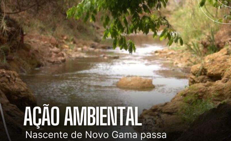 Transformação Sustentável: A Prefeitura de Novo Gama e as Secretarias de Obras e Meio Ambiente Revolucionam a Cidade