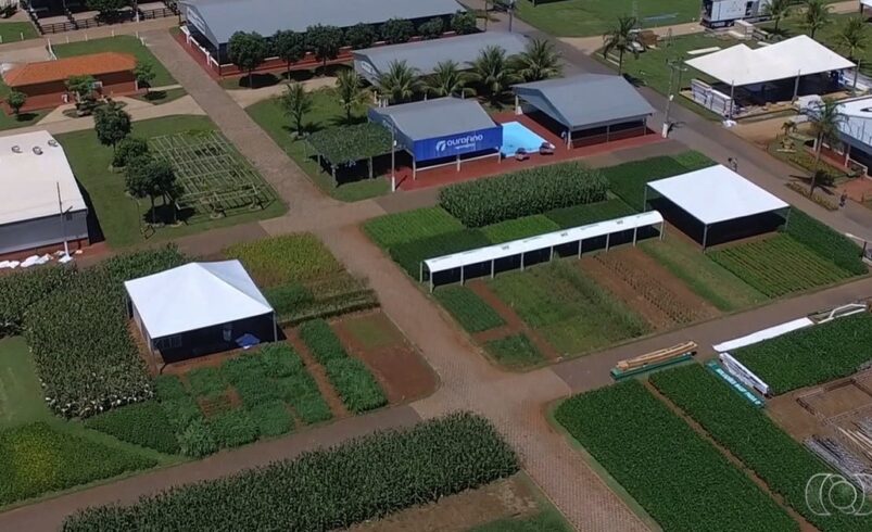 Integre soja e pecuária: inovação em Rio Verde, Goiás