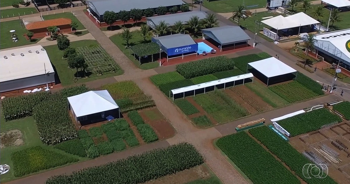 Integre soja e pecuária: inovação em Rio Verde, Goiás