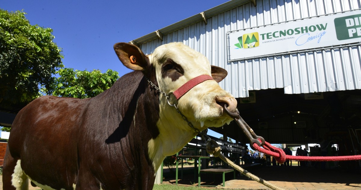 Descubra 1 mil animais na Tecnoshow em Rio Verde, Goiás