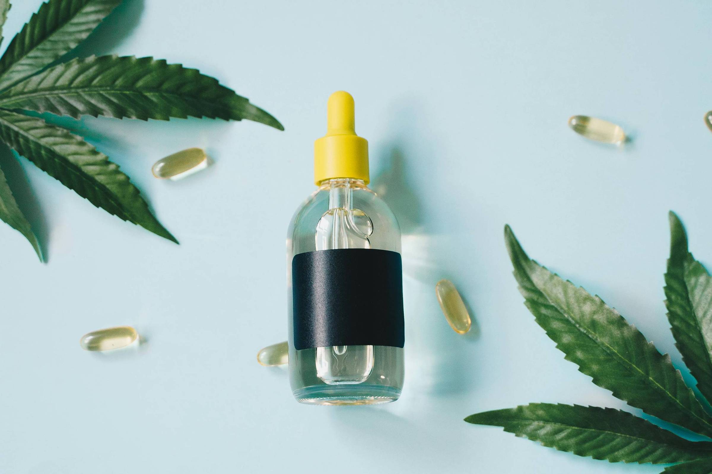 Vereadora do PSOL Processa Nunes por Questões Relacionadas ao Canabidiol em 02/10/2025