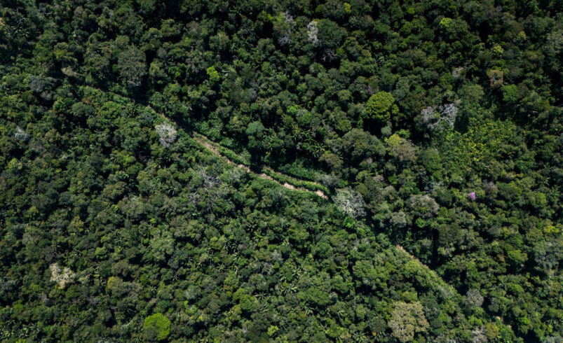 Verba Internacional para Meio Ambiente Ultrapassa Recursos do Congresso em 18 de Outubro de 2025