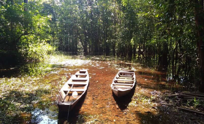 Inauguração da Trilha Amazônia Atlântica na COP 30 em 14 de outubro de 2025