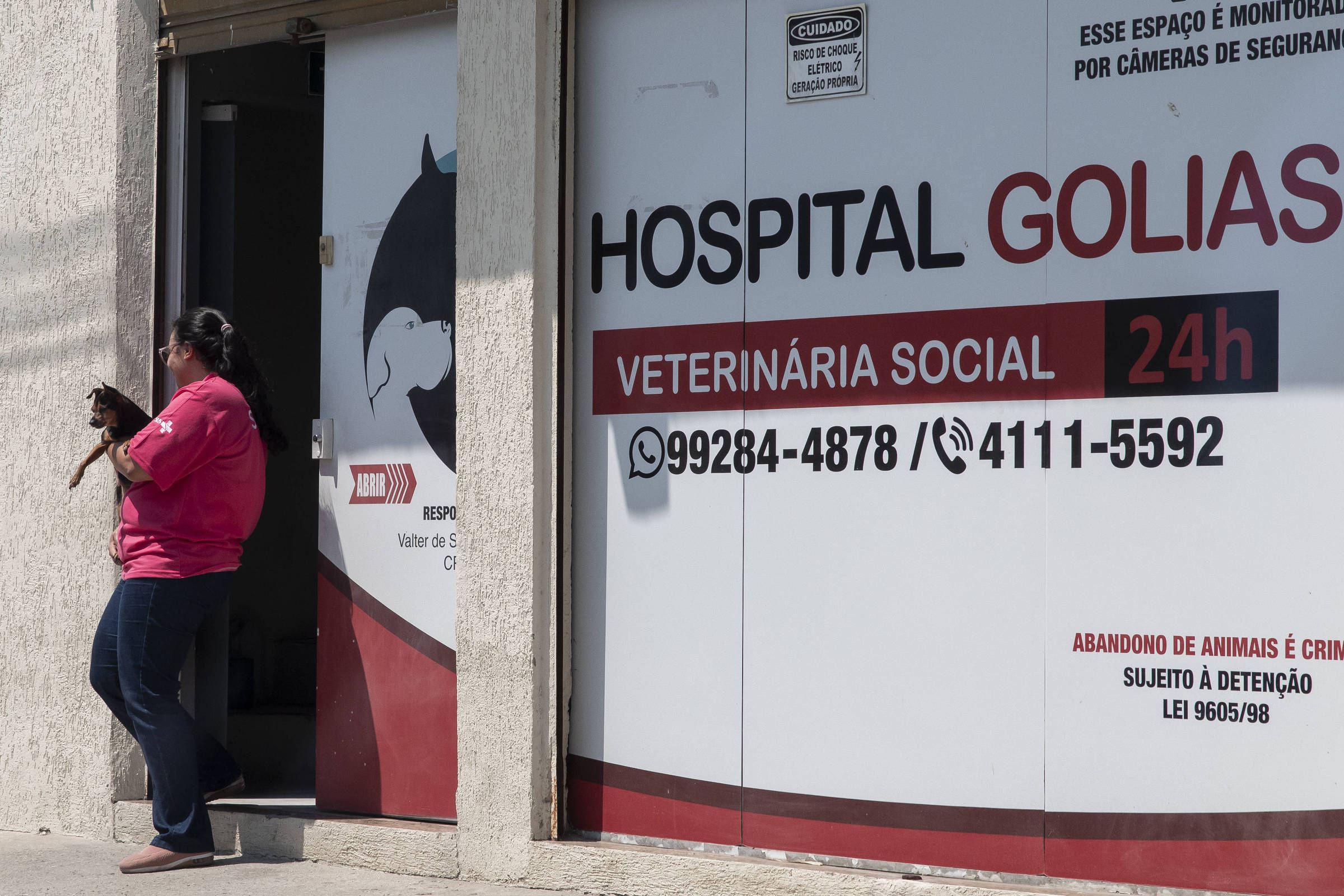 Congresso Foca em Castração de Animais de Estimação em Desfavor do Meio Ambiente – 26/10/2025 – Poder