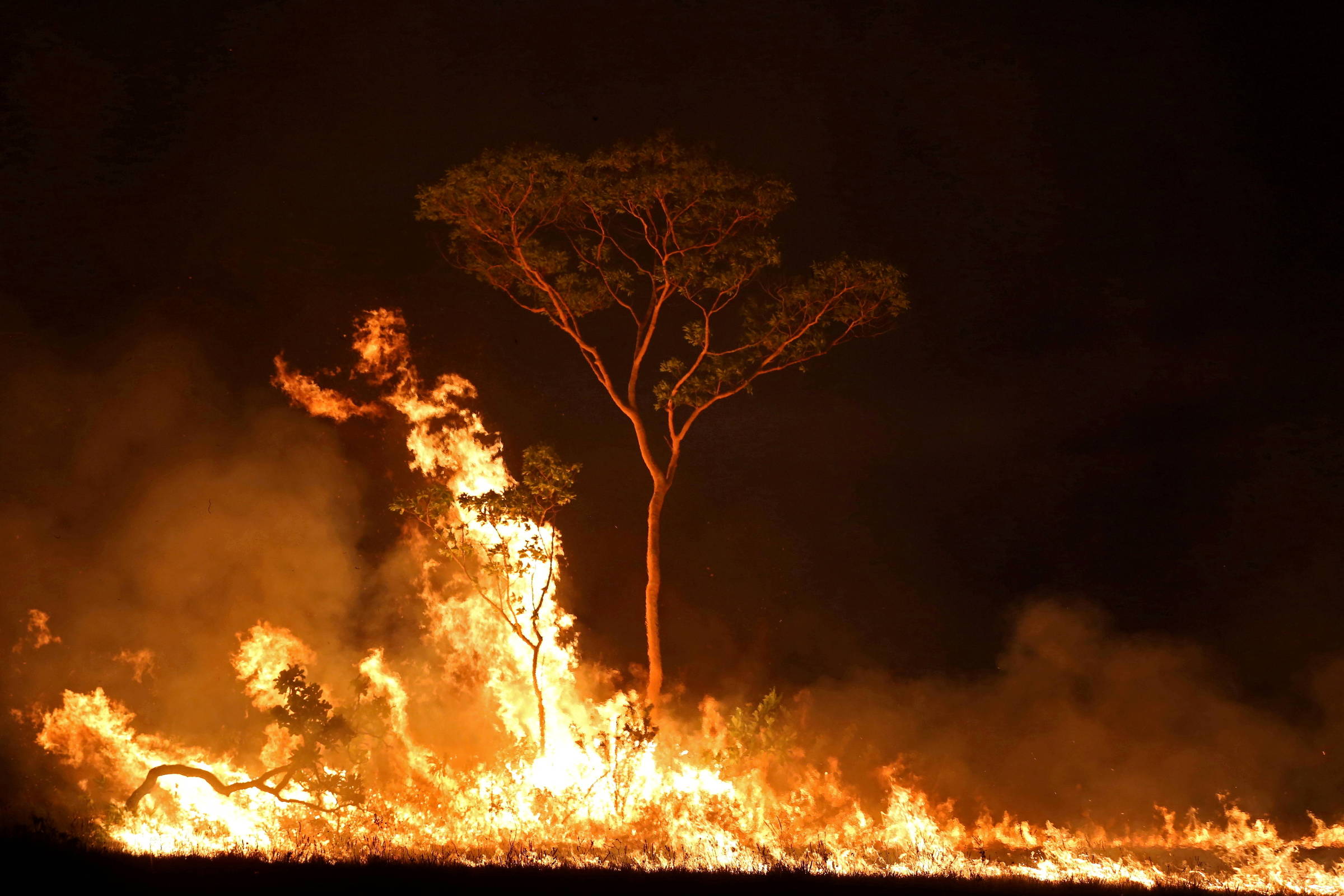 Indígenas do Amazonas Processam Órgãos Públicos por Danos Ambientais