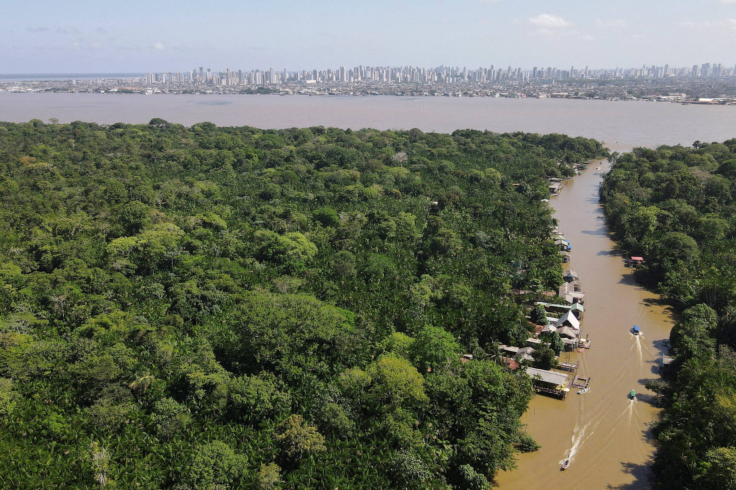 COP30: Dados sobre desmatamento mostram melhora no Pará – 02/11/2025 – Painel