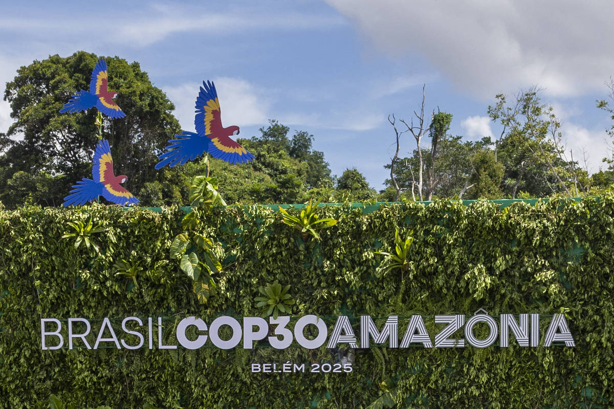 Futebol: O Impacto do Esporte em Seu Próprio Declínio – 11/11/2025 – O Mundo É uma Bola