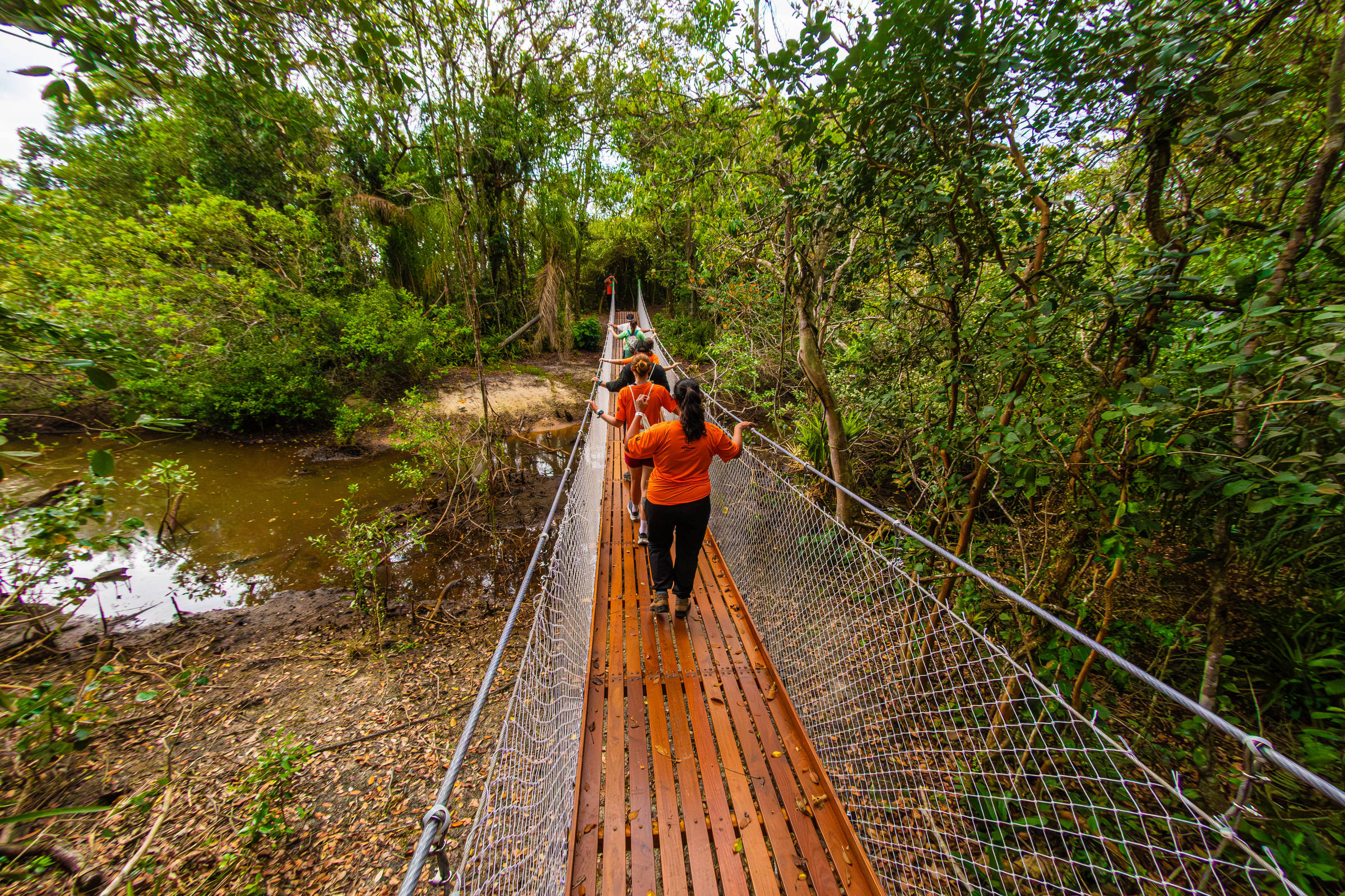 Parque Nacional do Superagüi inaugura trilha bimodal para promover atividades esportivas no PR – 17/12/2025 – É Logo Ali