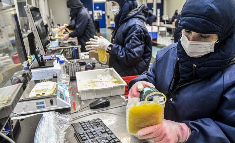 Projeto de Lei Autoriza Dispensa de Licitação para Aquisição de Medicamentos da Hemobrás
